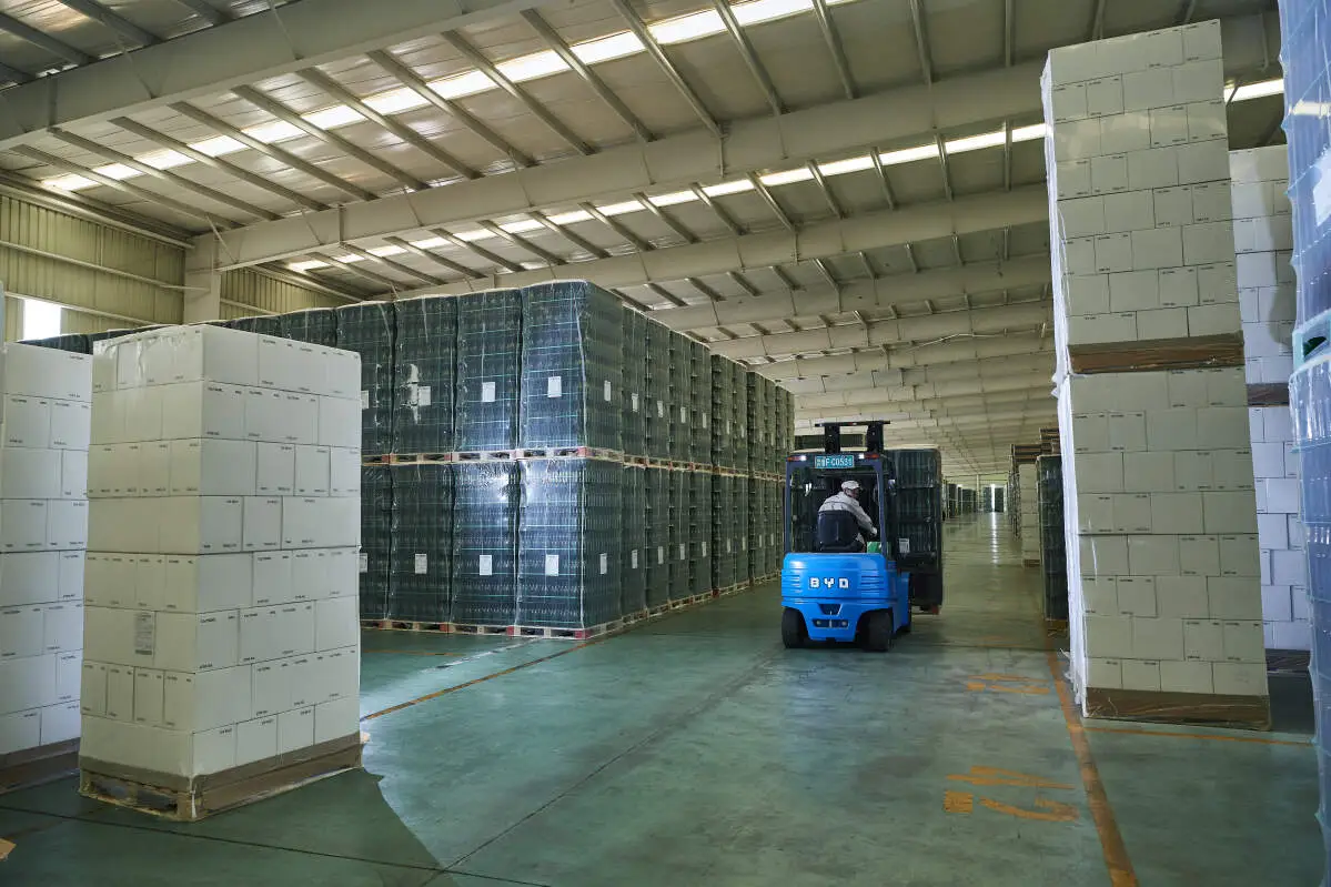 Guide to Installing LED Headlights on Warehouse Forklifts(Image1) Guide to Installing LED Headlights on Warehouse Forklifts(Image1)